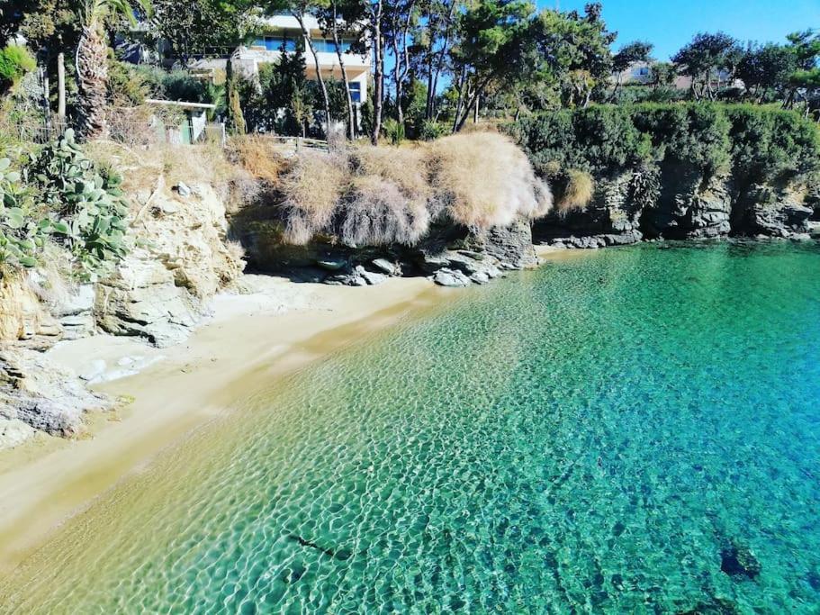 Lenico Beachfront Suites Agia Pelagia  Esterno foto
