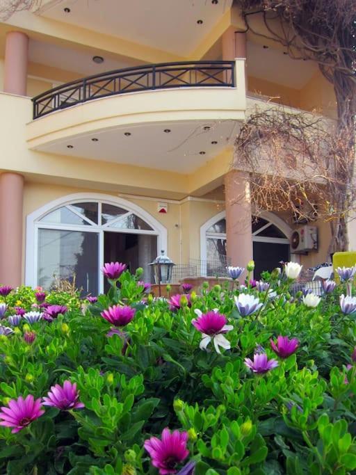 Lenico Beachfront Suites Agia Pelagia  Esterno foto