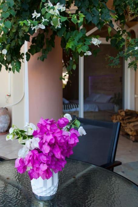 Lenico Beachfront Suites Agia Pelagia  Esterno foto