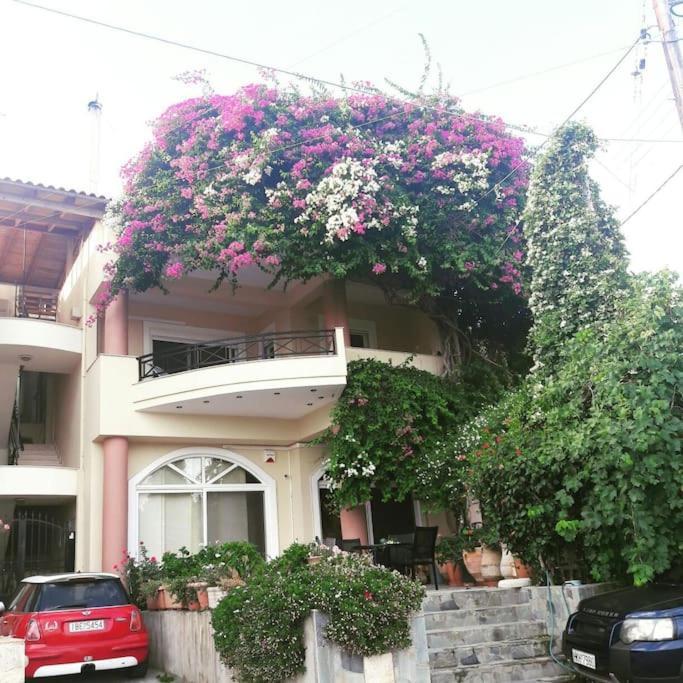 Lenico Beachfront Suites Agia Pelagia  Esterno foto