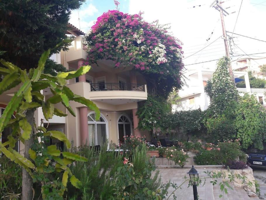 Lenico Beachfront Suites Agia Pelagia  Esterno foto